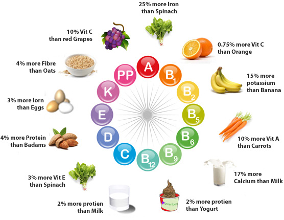 moringa-benefits.jpg